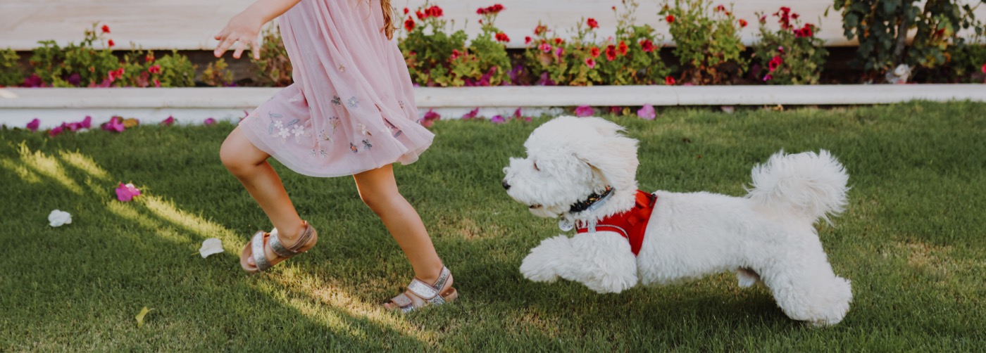 Jax DogWatch Hidden Fences, Ponte Vedra, Florida | Outdoor Hidden Dog Fences Slider Image